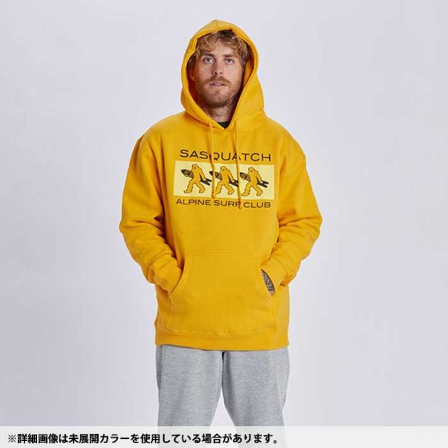 AIRBLASTER SASQUATCH ASC PO HOODY AB24PRT_03