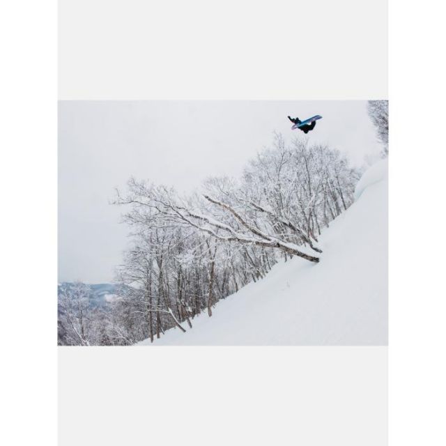BURTON Family Tree High Fidelity Board
