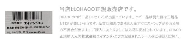 CHACO WS Z1 クラシック