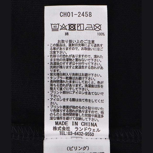 CHUMS CH01-2458 S.TANAKA Ovrszd R Brsh LS T