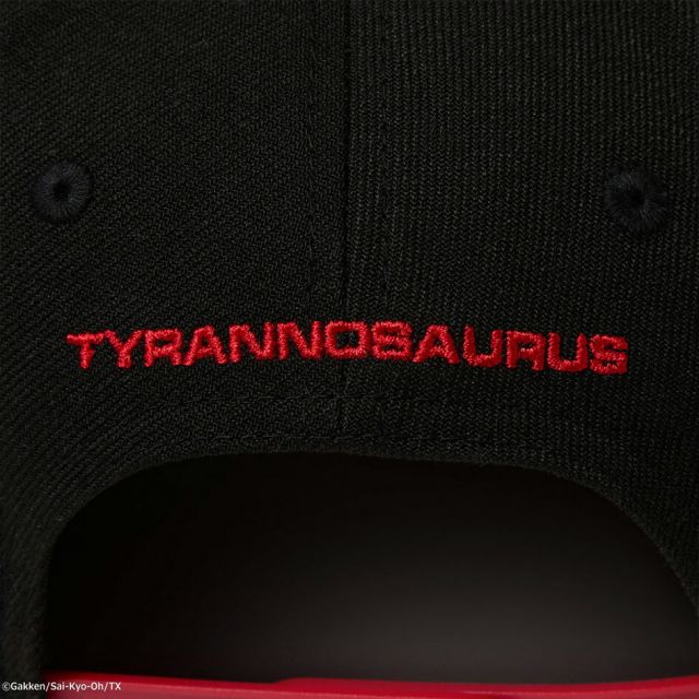 NEWERA YTH950 SAI-KYO-OH ZUKAN