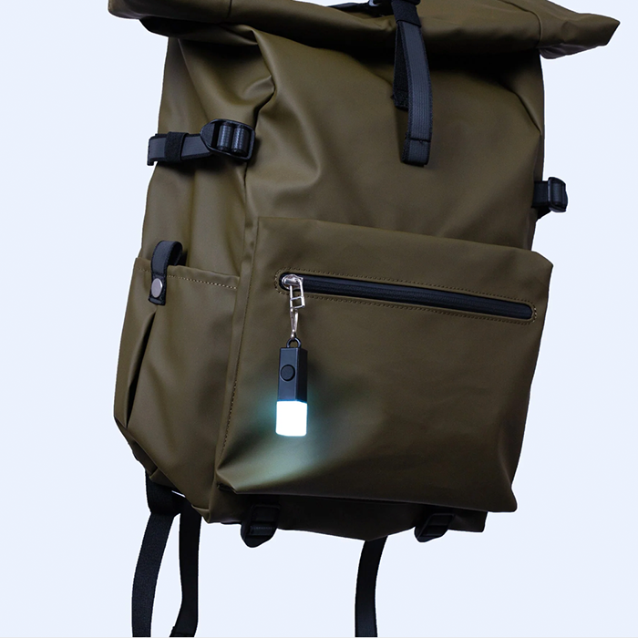 BOOKMAN ライト BM-584 ライトスティック Lightstick Usb-c BOOKMAN25003