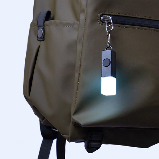 BOOKMAN ライト BM-584 ライトスティック Lightstick Usb-c BOOKMAN25003