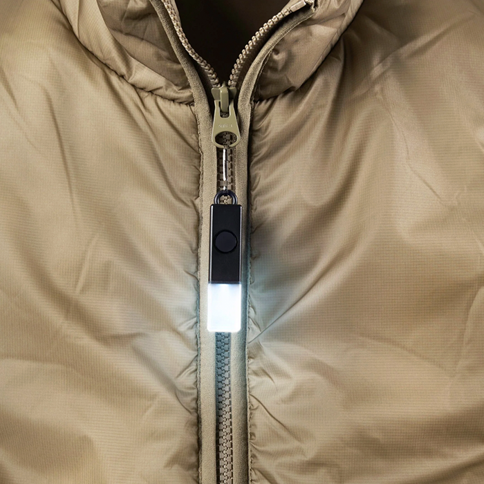 BOOKMAN ライト BM-584 ライトスティック Lightstick Usb-c BOOKMAN25003