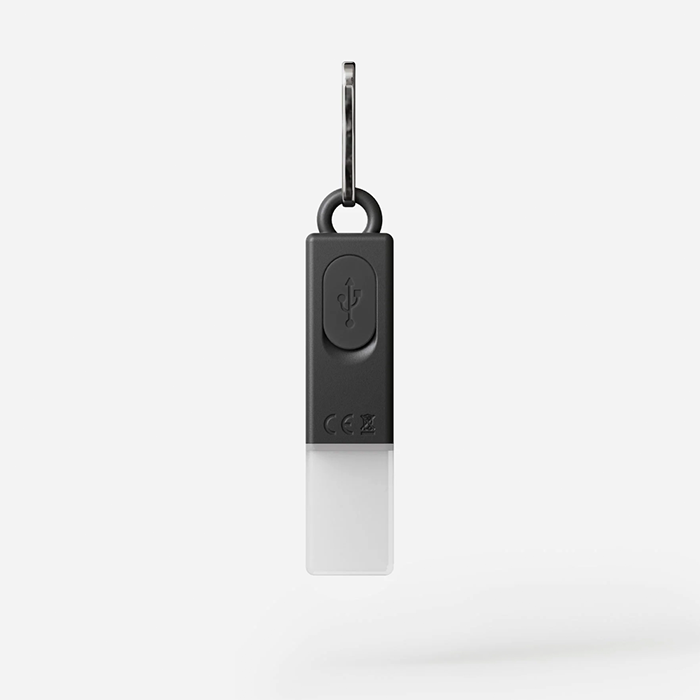 BOOKMAN ライト BM-584 ライトスティック Lightstick Usb-c BOOKMAN25003