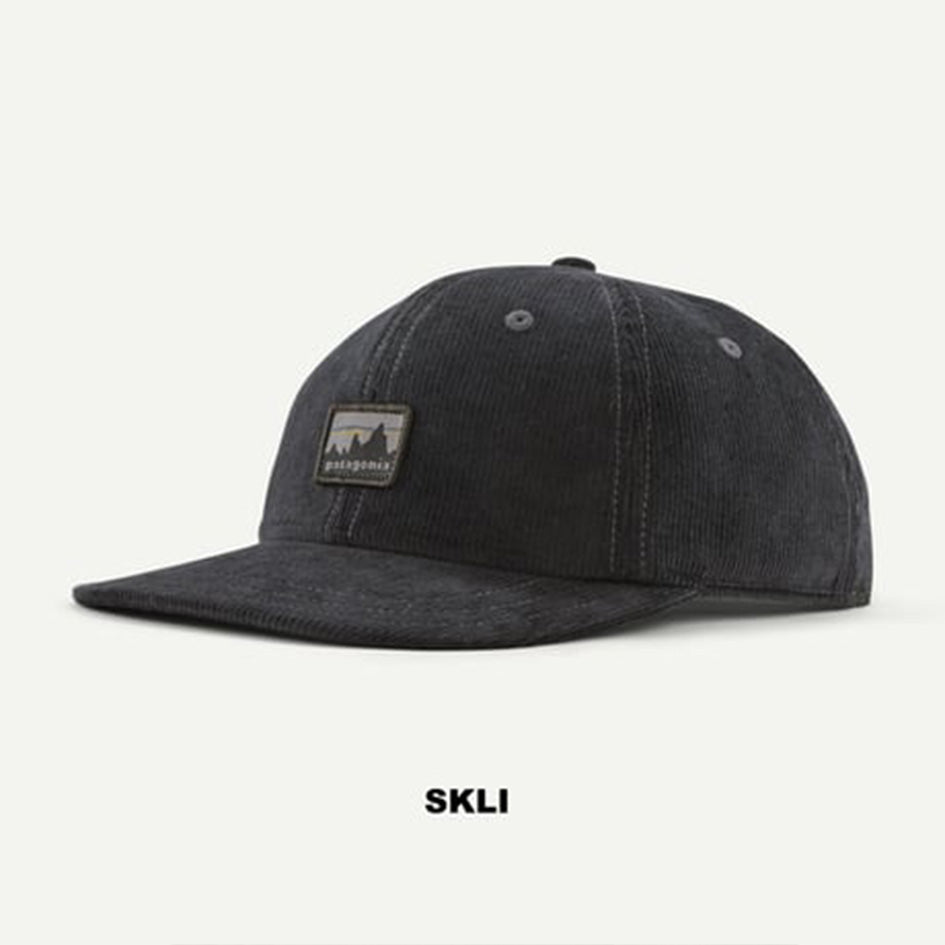 patagonia 33535 コーデュロイ・キャップ (PATAGONIA25008)(PATAGONIA22066)