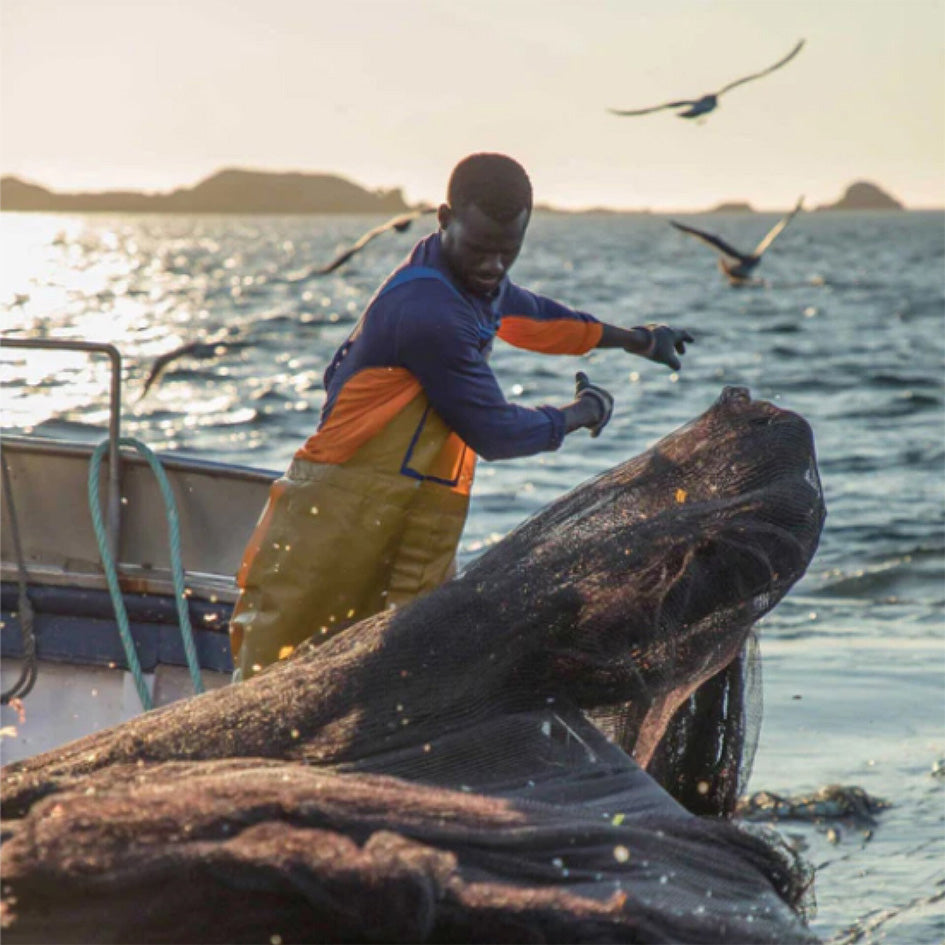 patagonia PRY00 ホワイト・アンチョビ　レモンオリーブ (PATAGONIA26015)