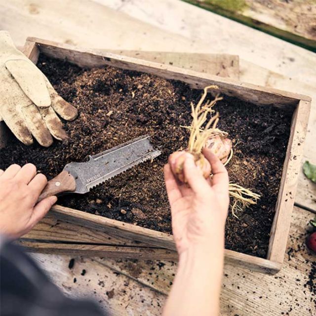 ベアボーンズリビング ホリホリ クラシック ガーデニングツール Barebones Living  糸カッター スコップ