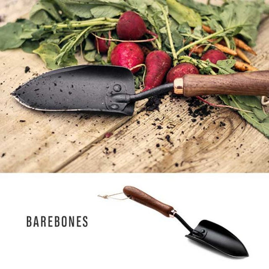 BAREBONES ｽﾍﾟｰﾄﾞ WALNUT