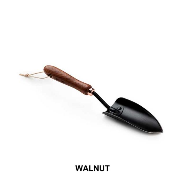 BAREBONES ｽﾍﾟｰﾄﾞ WALNUT