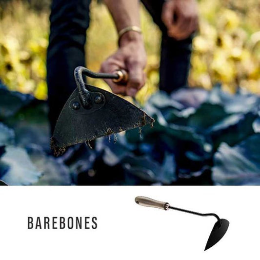 BAREBONES ﾄﾗｲｱﾝｸﾞﾙﾎｰ