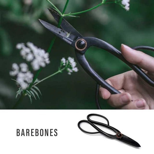 BAREBONES ｱｰﾃｨｼｬﾝ ﾌﾟﾙｰﾆﾝｸﾞ ｼｻﾞｰｽﾞ L
