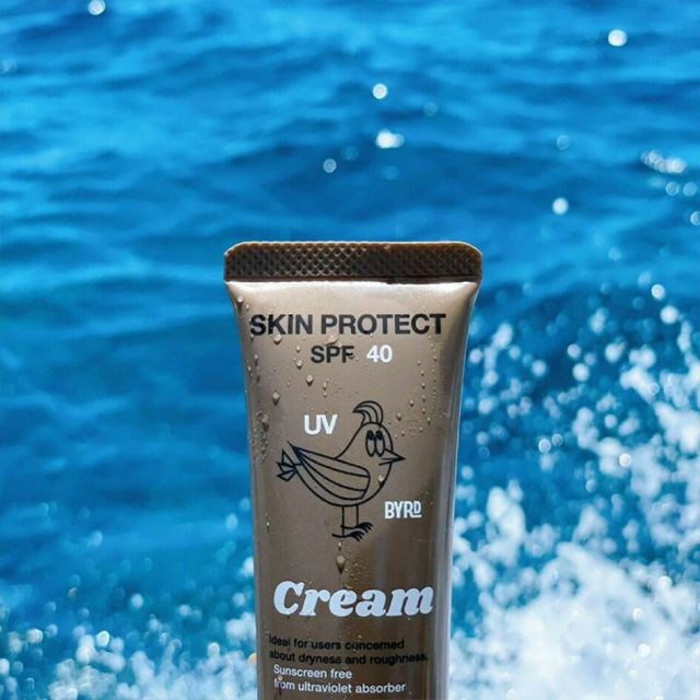 バード UVクリーム 日焼け止め BYRD SPF40 PA+++ 紫外線吸収剤フリー 肌色 ノンケミカル 保湿 男女兼用 メンズ レディース スキンケア アウトドア 40g AN-2069020 BYRD UVクリーム