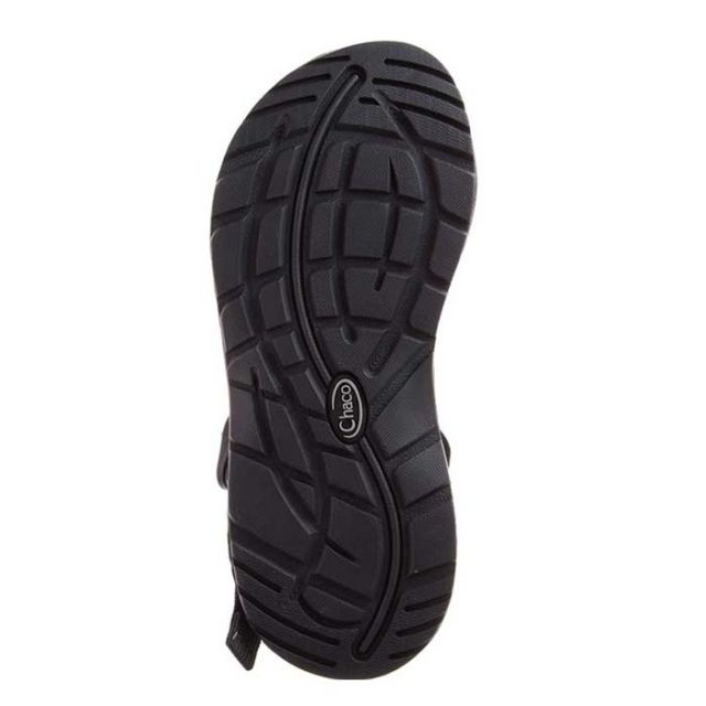 CHACO WS Z1 ｸﾗｼｯｸ