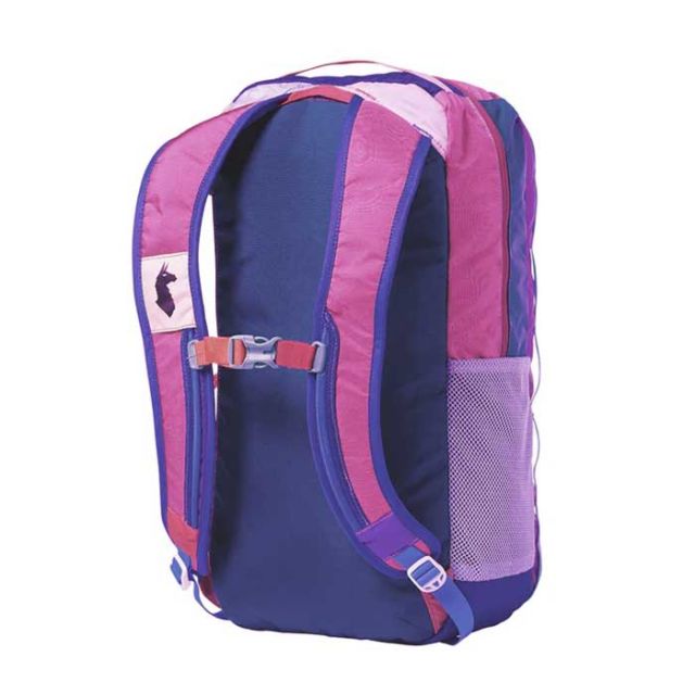 COTOPAXI BATAC 24L BACKPACK DELDIA