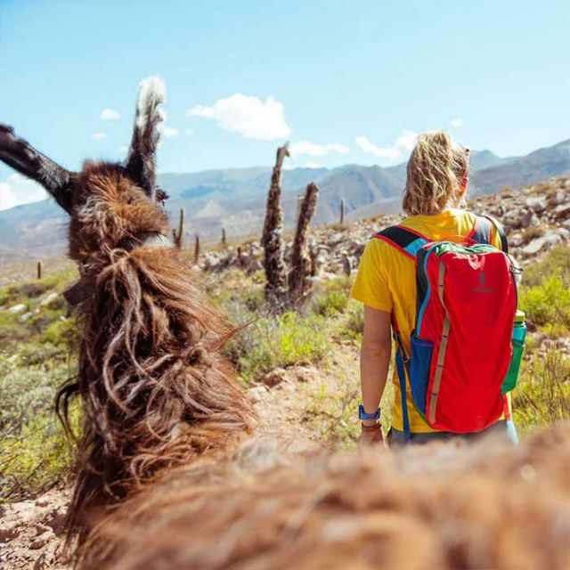 COTOPAXI BATAC16L BACKPACK DELDIA