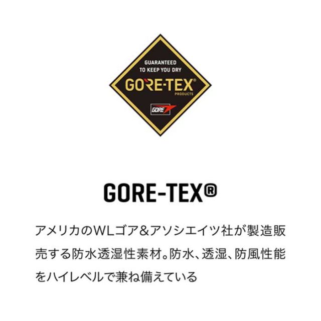 DAKINE BF237710 TITAN GORE-TEX GLOVES