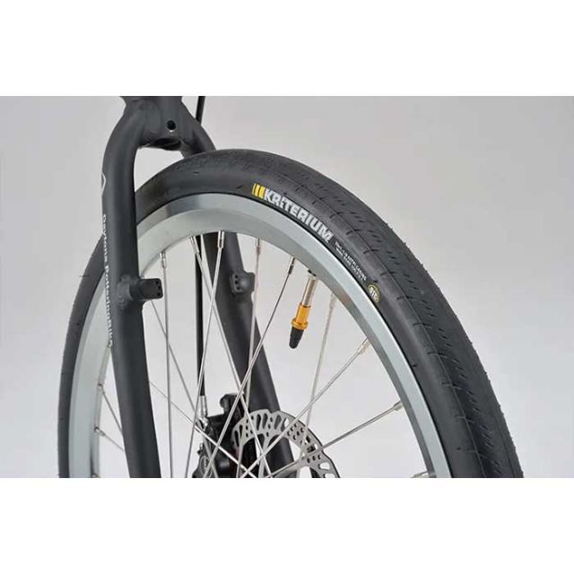 デイトナ 自転車 20インチ DAYTONA 折りたたみ電動自転車 (DE01X) 51923/ 51924/ 51925 電動アシスト ミニベロ 街乗り パワフル シマノ10速 安全 [230413]
