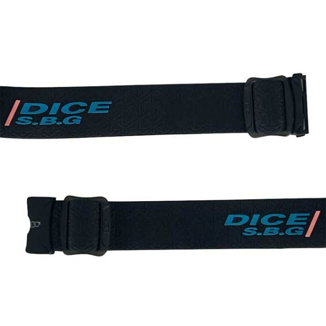 dice BK45194 / BK55194 (C-MIT LGR/GD) BANK ダイス ゴーグル バンク 25-26モデル ヘルメット対応 全天候対応 ビッグフレーム くもり止め スキー スノボ スノーボード 日本製 (241011)