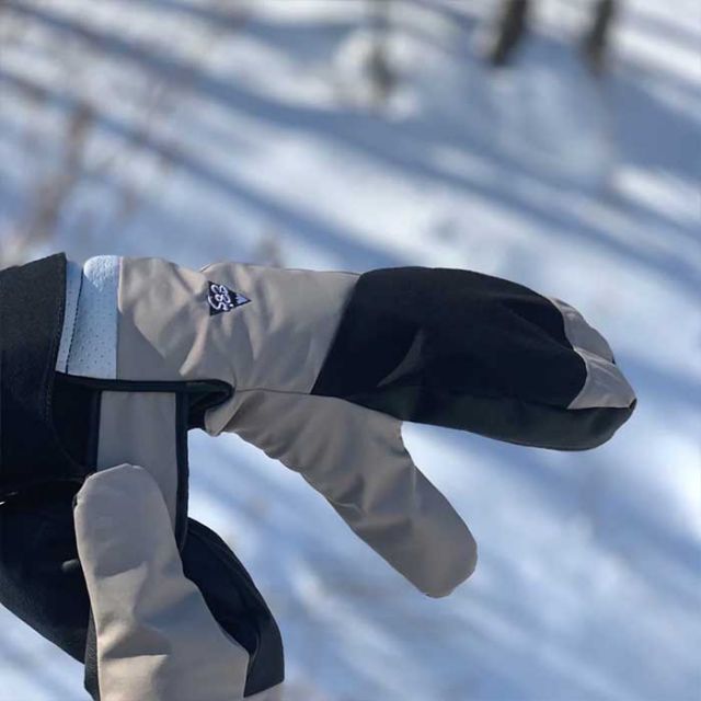 エビス スノーボード グローブ eb's GAME CHANGER ゲームチェンジャー GORE-TEX ゴアテックス 防水透湿 スノボ スキー globe [221025]