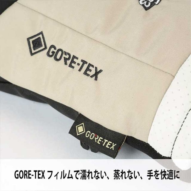 エビス スノーボード グローブ eb's GAME CHANGER ゲームチェンジャー GORE-TEX ゴアテックス 防水透湿 スノボ スキー globe [221025]