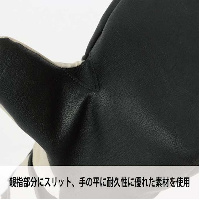 エビス スノーボード グローブ eb's GAME CHANGER ゲームチェンジャー GORE-TEX ゴアテックス 防水透湿 スノボ スキー globe [221025]
