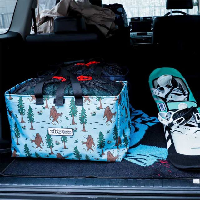 EBIS CARGO BAG