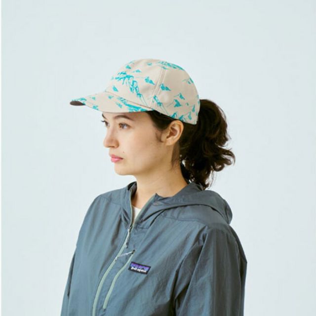 HALO COMMODITY H251-239 SOME HILL CAP