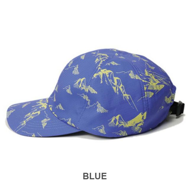 HALO COMMODITY H251-239 SOME HILL CAP
