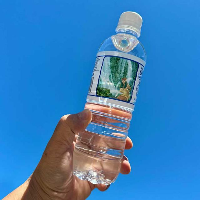 ハワイアンマウンテンフレッシュ HAWAIIAN MOUNTAIN FRESH  ピュアウォーター 500ml×20本 純水99.9％ ハワイ直輸入 水 超軟水 ミネラルウォーター おしゃれラベル 防災・備蓄・アウトドア ハワイウォーター