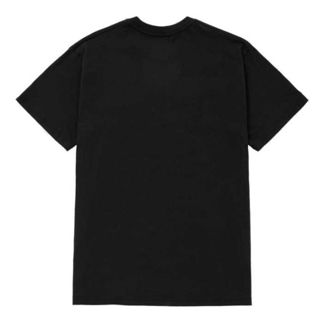 HUF TS02237 GECKO S/S TEE