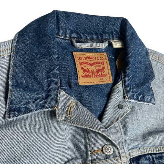 LEVI'S A6797-0000 ANSIDEOUT 90S TRUCK