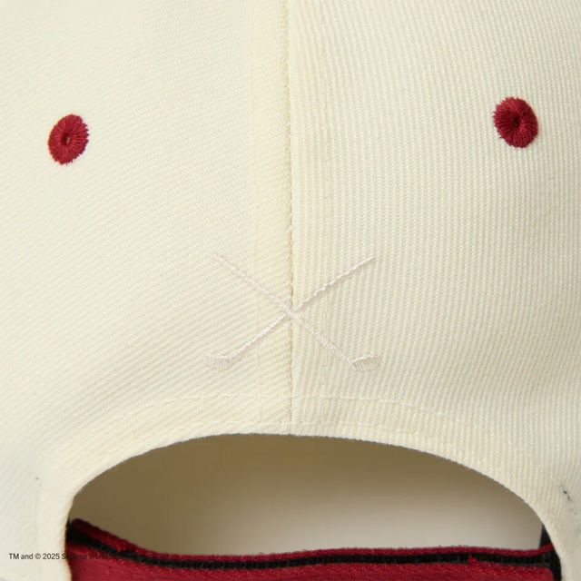 ニューエラ レディース メンズ キャップ コラボ NEWERA GF 940VS SESAME NENY セサミストリート クッキーモンスター キャップ 14682546 クロームホワイト ブルーバイザー ユニセックス ゴルフ 帽子 カーブドバイザー (250904)