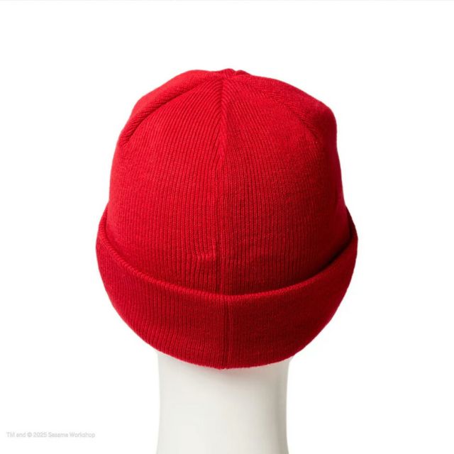 ニューエラ NEWERA KIDS BC KNIT SESAME FACE キッズ Kid’s ベーシック カフニット SESAME STREET セサミストリート Cookie Monster クッキーモンスター 14682536 ブルー ニット帽 ビーニー ユース 6〜15歳対応  メール便 (250904)