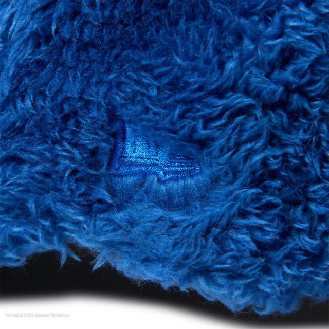 ニューエラ NEWERA YTH 920 SESAME FACE COOKIE ッズ Youth 9TWENTY SESAME STREET セサミストリート Cookie Monster クッキーモンスター 14682469 キャップ 子供用 ベルクロストラップ ユース6〜15歳対応 カーブドバイザー (250904)
