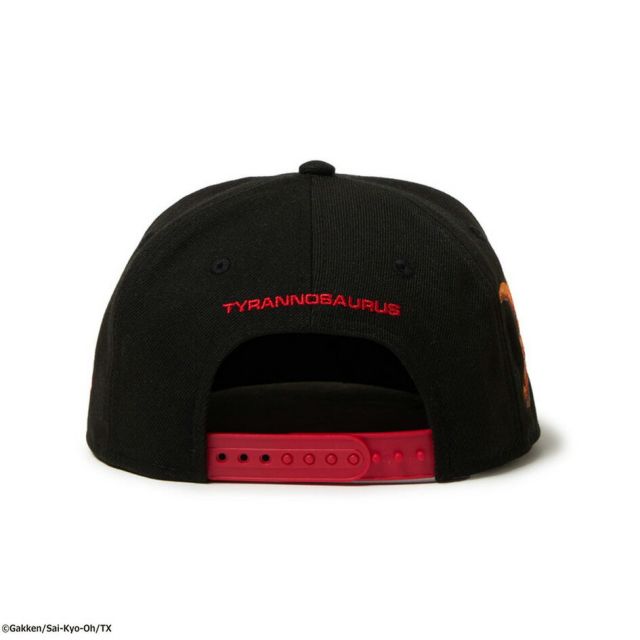 NEWERA YTH950 SAI-KYO-OH ZUKAN