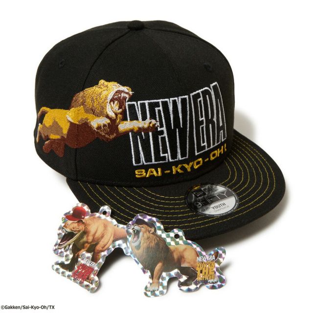 NEWERA YTH950 SAI-KYO-OH ZUKAN