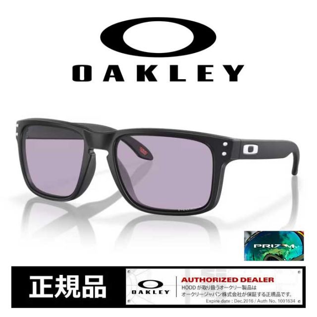 OAKLEY Holbrook Matte Black/Prizm Slate