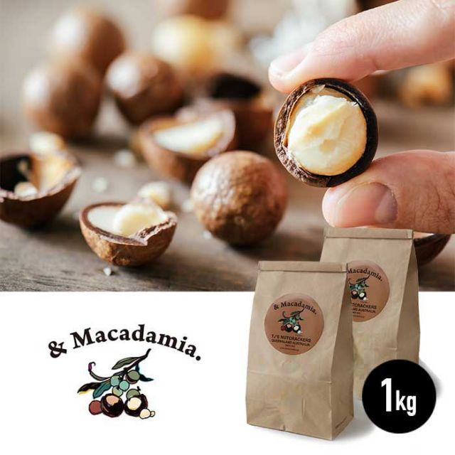 マカダミアナッツ 1kg 殻付き & MAKADAMIA (アンドマカダミア) (201007)