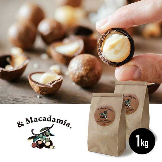 マカダミアナッツ 1kg 殻付き & MAKADAMIA (アンドマカダミア) (201007)