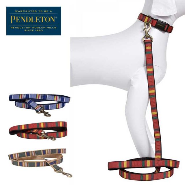 PENDLETON PET ﾊｲｶｰﾘｰｼｭ