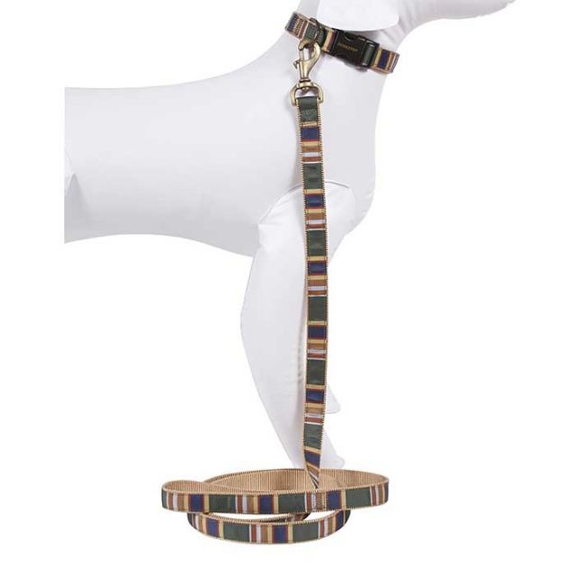 PENDLETON PET ﾊｲｶｰﾘｰｼｭ