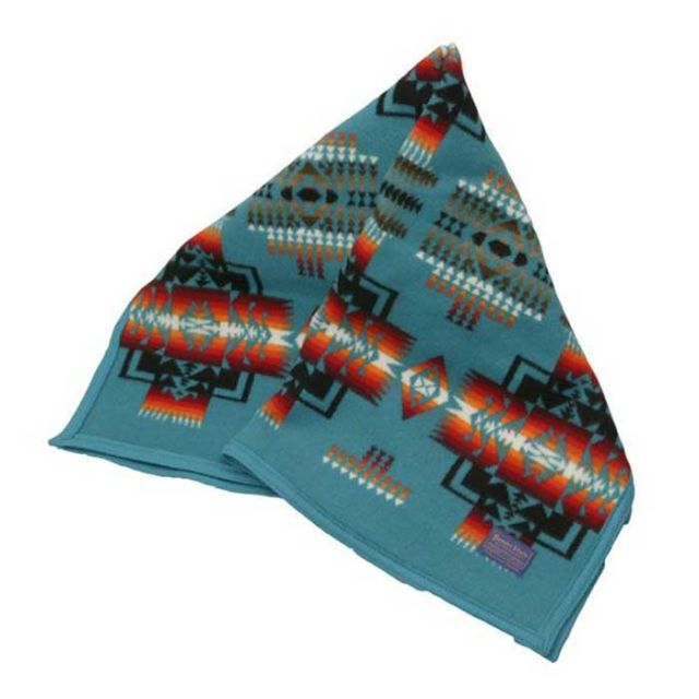 PENDLETON チーフジョゼフクリブブランケット