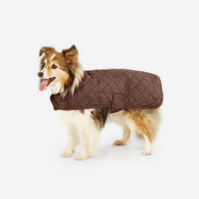 PENDLETON XS DOG COAT