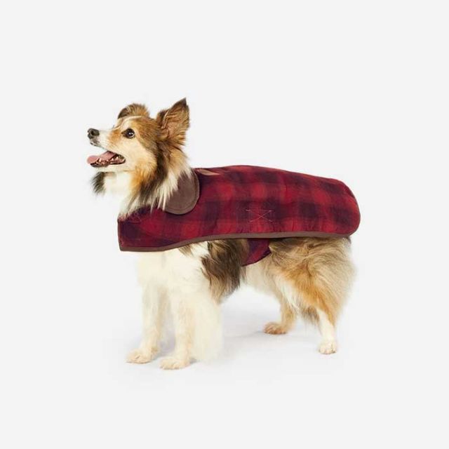 ペンドルトン ドッグコート(M) PENDLETON Medium Dog Coat ドッグウェア 犬用 服 おしゃれ [221101]