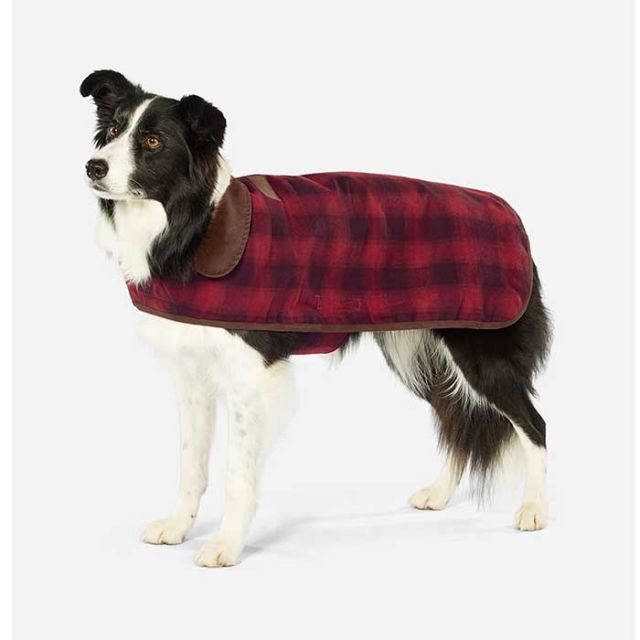 ペンドルトン ドッグコート(M) PENDLETON Medium Dog Coat ドッグウェア 犬用 服 おしゃれ [221101]
