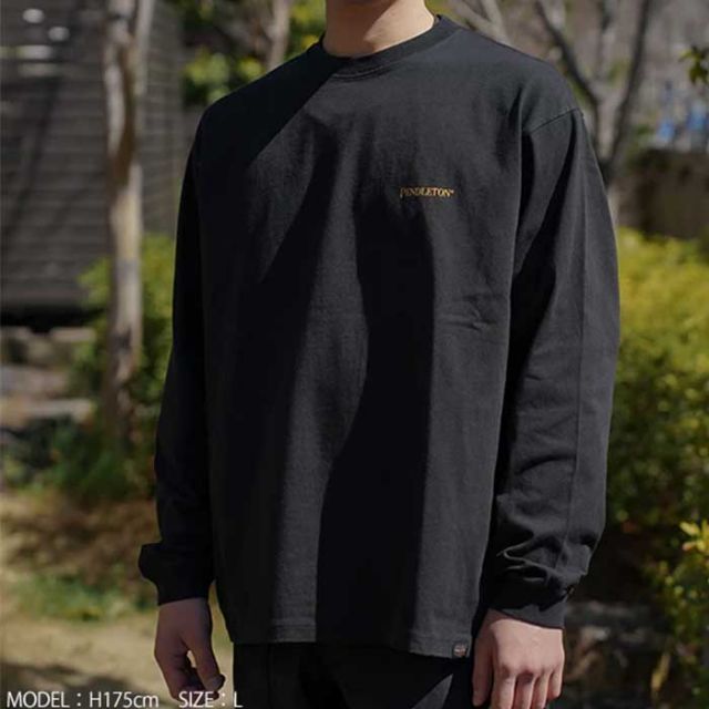 ペンドルトン ロンt PENDLETON 長袖 19807029 L/S BKPrint Tee メンズ レディース ユニセックス ブラック ブルー カーキ ホワイト S M L ジャパンフィット コットン オールシーズン メール便 (240908)