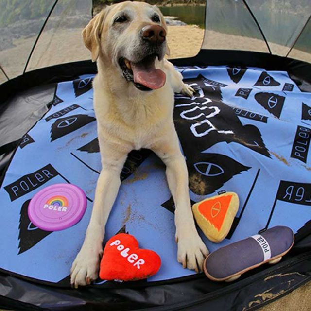 ポーラー ワンちゃん用おもちゃ POLeR [ 5213C005 ] DOG CHEW SUMMIT LOGO  犬 ストレス解消 噛む ペットグッズ [220824]