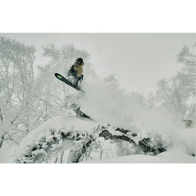 サロモン SALOMON DISTRICT HPS バインディング 中井孝治 コラボ SHADOWFIT パウダー フリーライド スノーボードビンディング