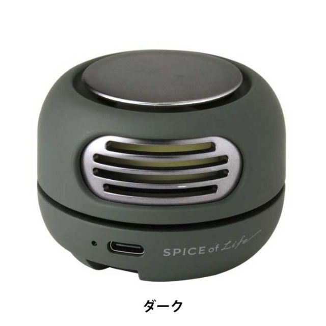 SPICE POCKET FAN